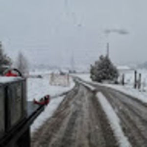 Meet your Posher, Freddy